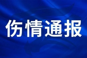 挪威vs英格兰直播_挪威vs英格兰超清在线直播_挪威vs英格兰高清比赛直播